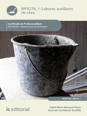 cover image of Labores auxiliares de obra. EOCH0108